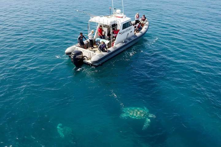 Excursion en bateau Martinique