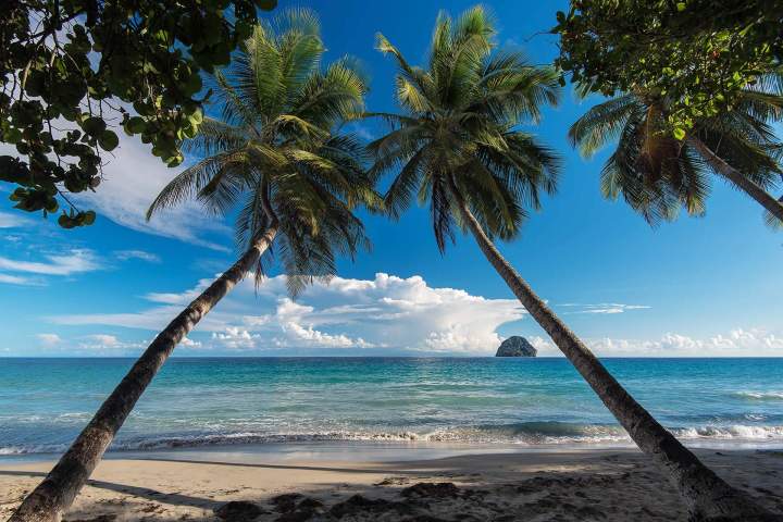 Excursion en mer Martinique